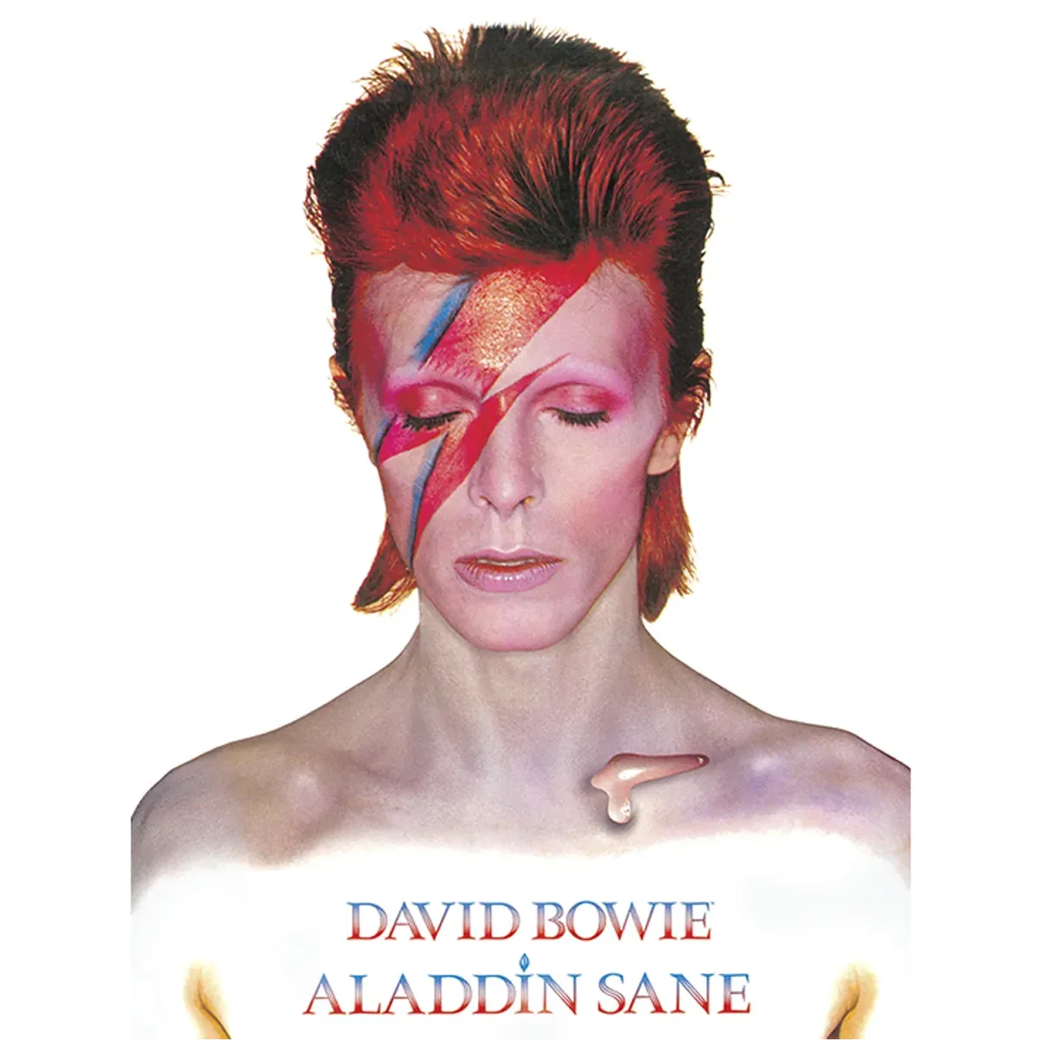 Aladdin Sane 60 x 80cm Canvas Print