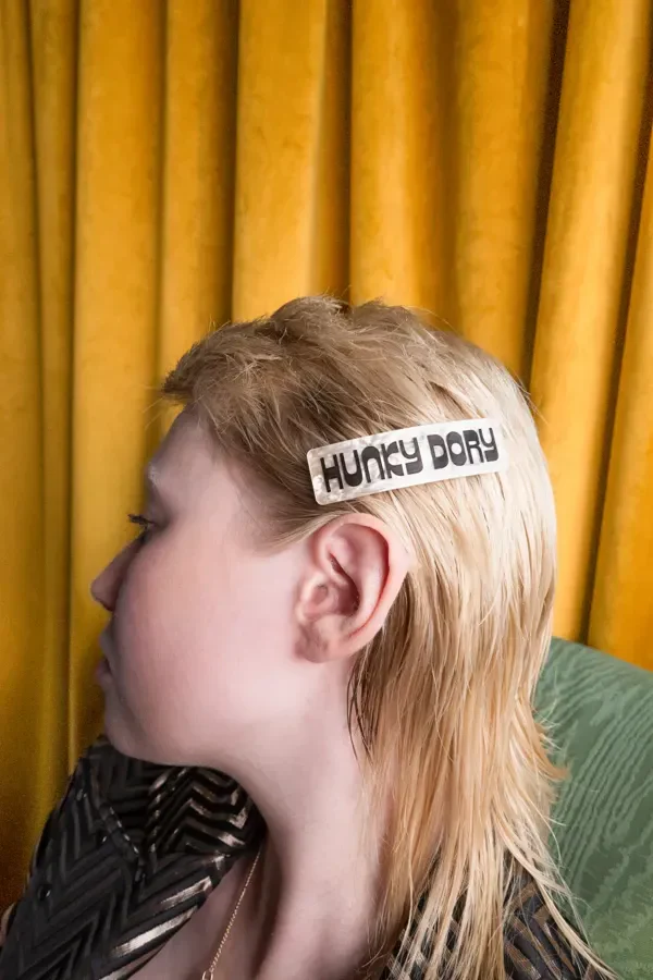 Hunky Dory Hair Clip - Image 2