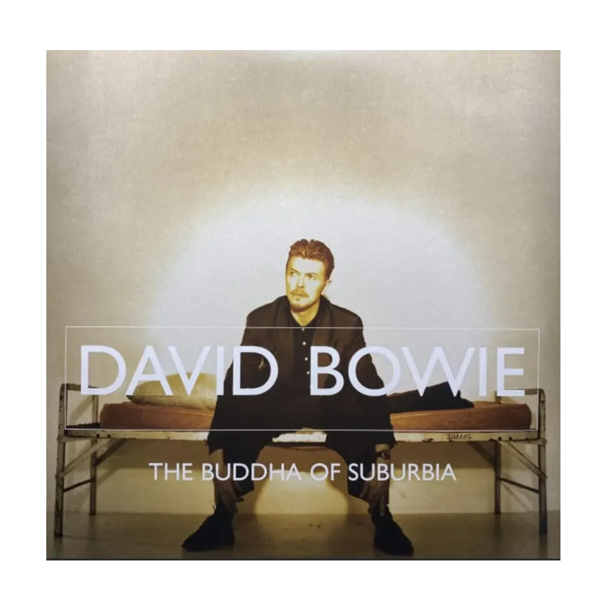 The Buddha of Suburbia CD